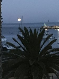 Offshore Rendezvous 2017 Avalon