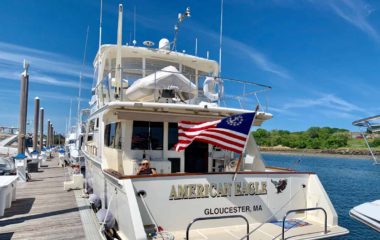 Vince and Karen Tibbetts “ American Eagle”