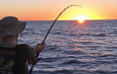 Offshore Yachts are Fishing Machines!!